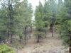 Close to Amenities in Angel Fire